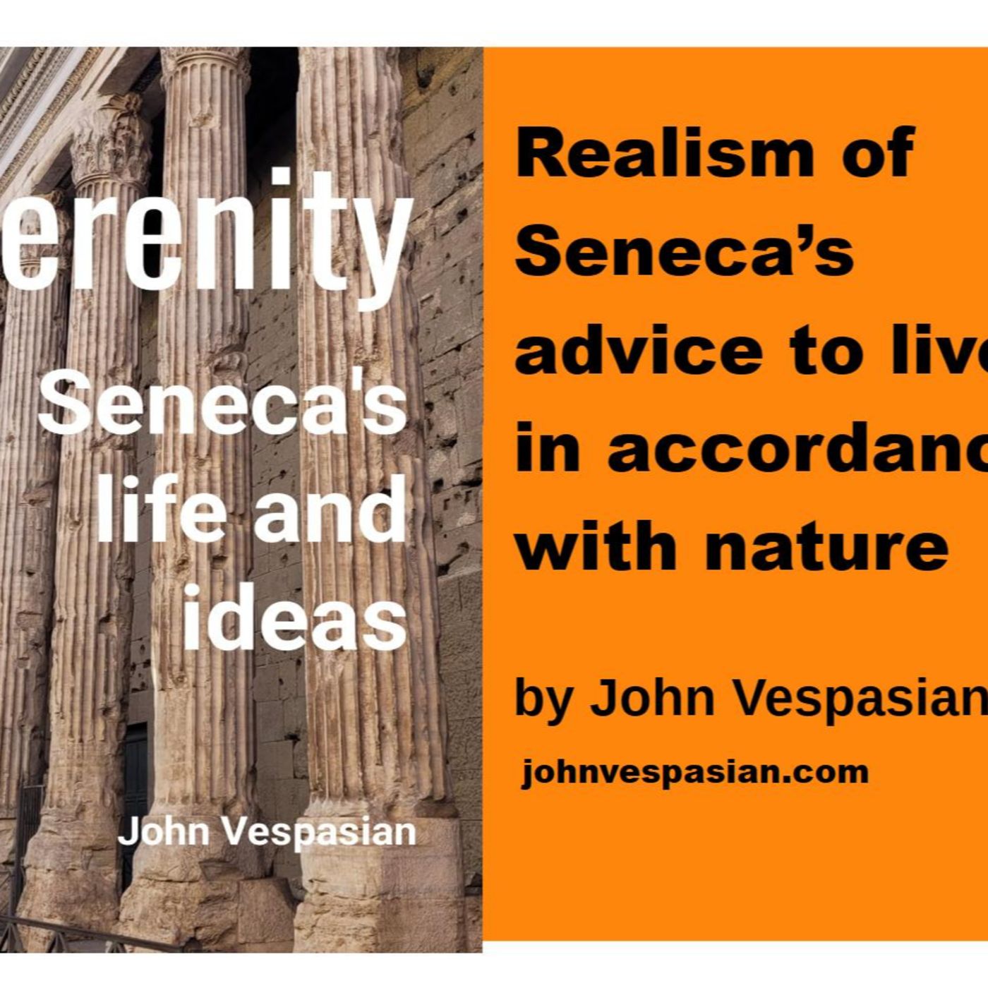 Realism and Seneca's advice to live in accordance with nature episode artwork