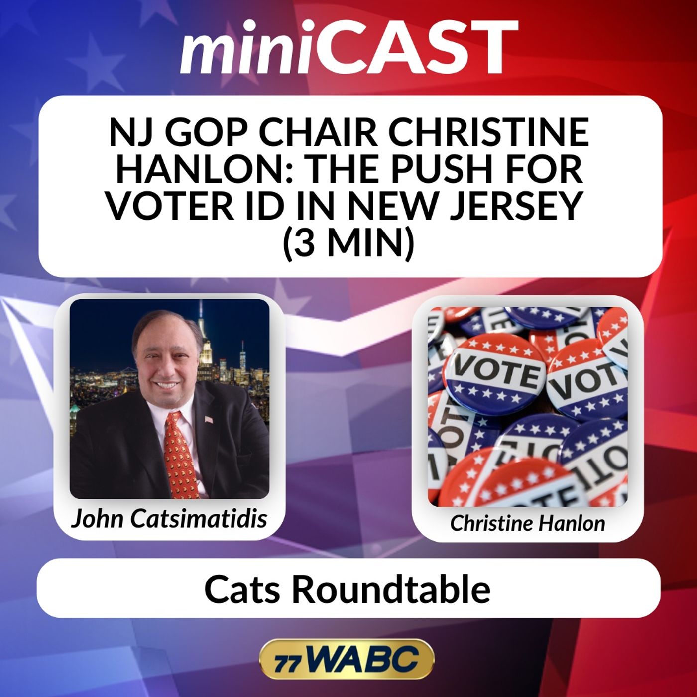 NJ GOP Chair Christine Hanlon: The Push for Voter ID in New Jersey (3 min) episode artwork