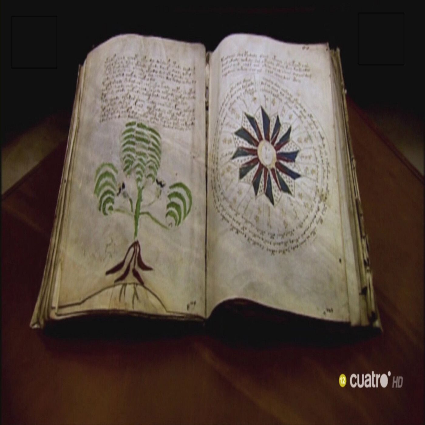 Cuarto Milenio: Los enigmas del Manuscrito Voynich (2007)