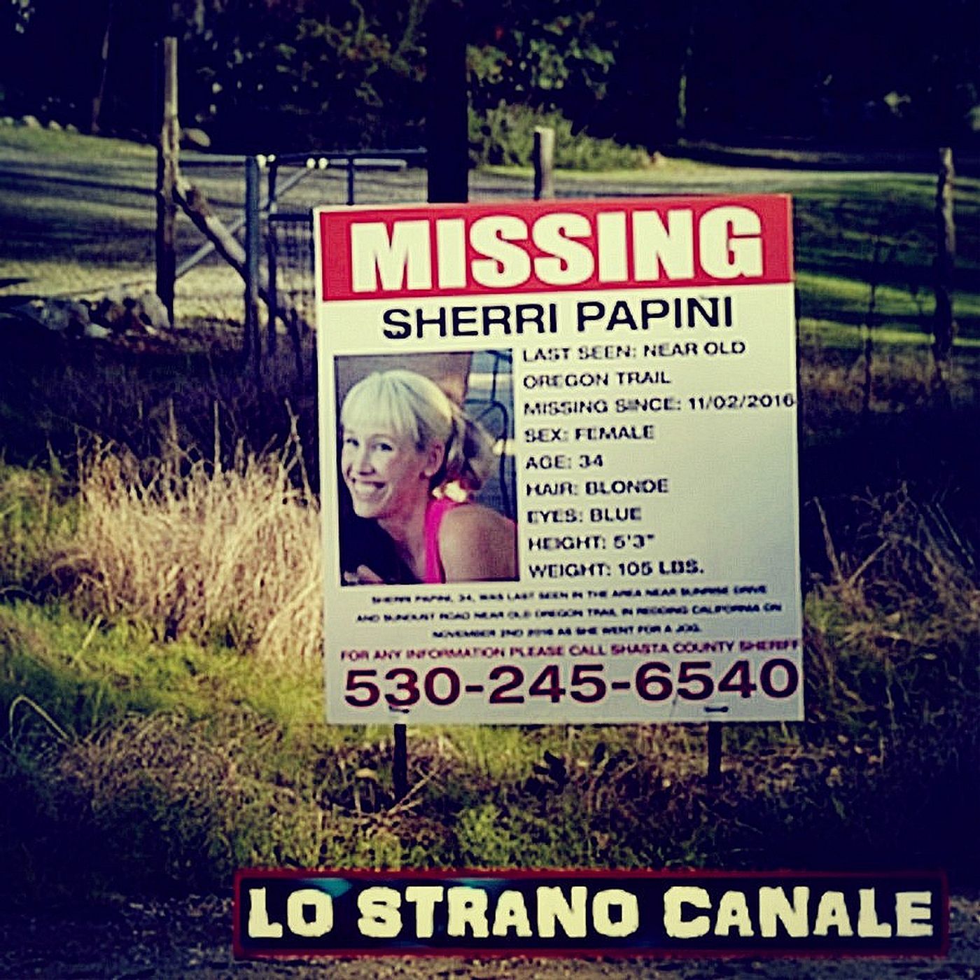 cover of episode IL MISTERIOSO RAPIMENTO DI SHERRI PAPINI (Lo Strano Canale Podcast)