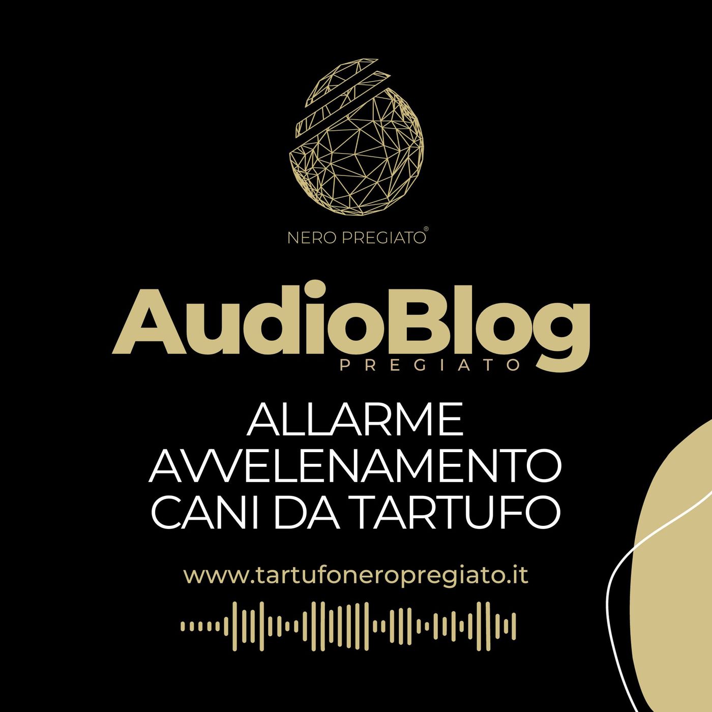 AudioBlog Pregiato