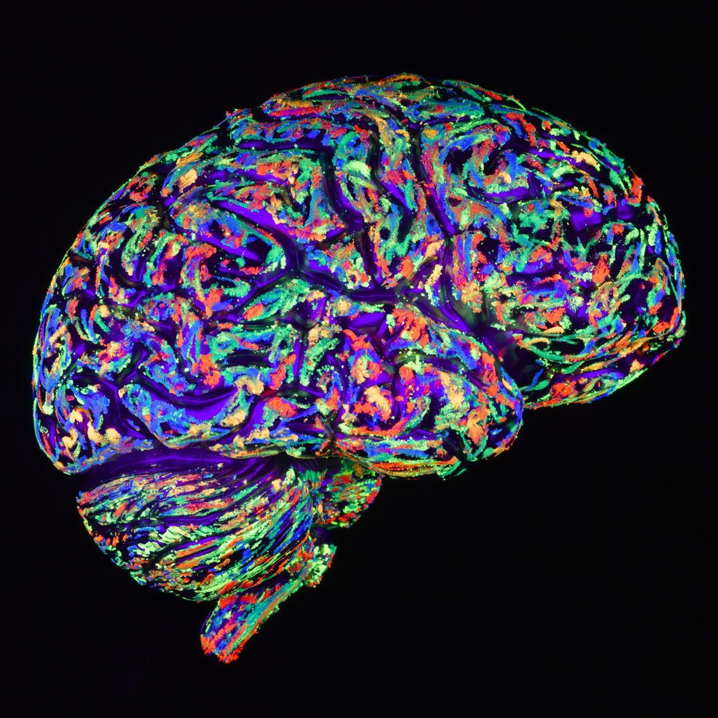 Neurociencia para todos podcast artwork