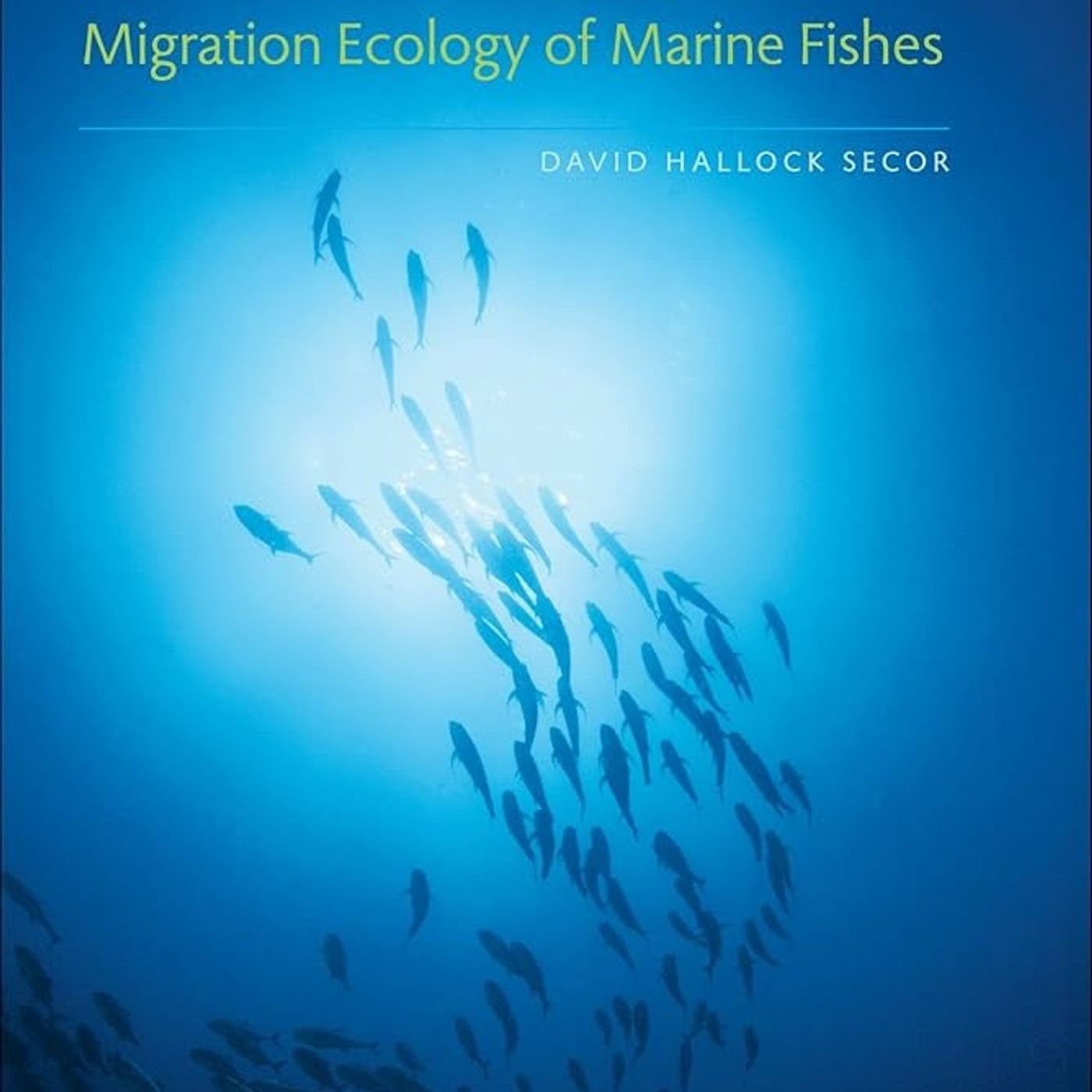 Migration Ecology of Marine Fishes
