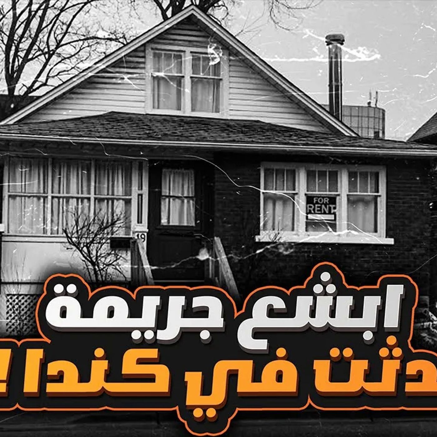 ما وجدوه في ميناء اوشاوا شيء لايصدق ابدا