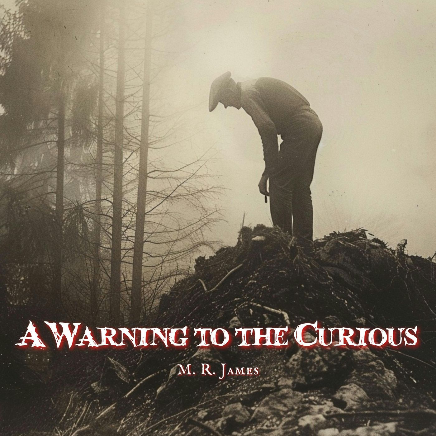 A Warning To The Curious by M. R. James