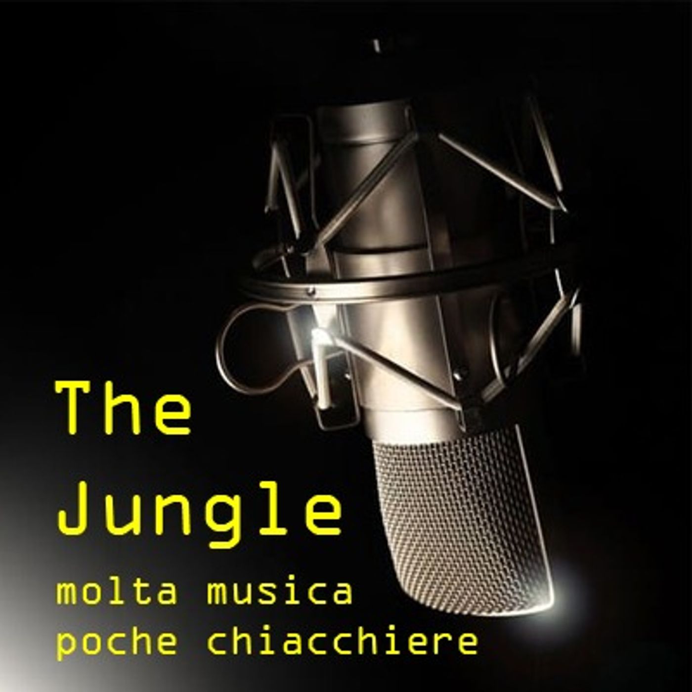 THE JUNGLE