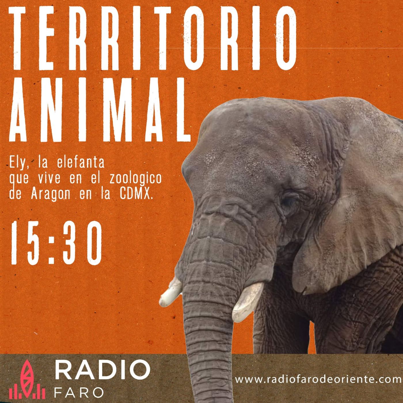 Territorio Animal