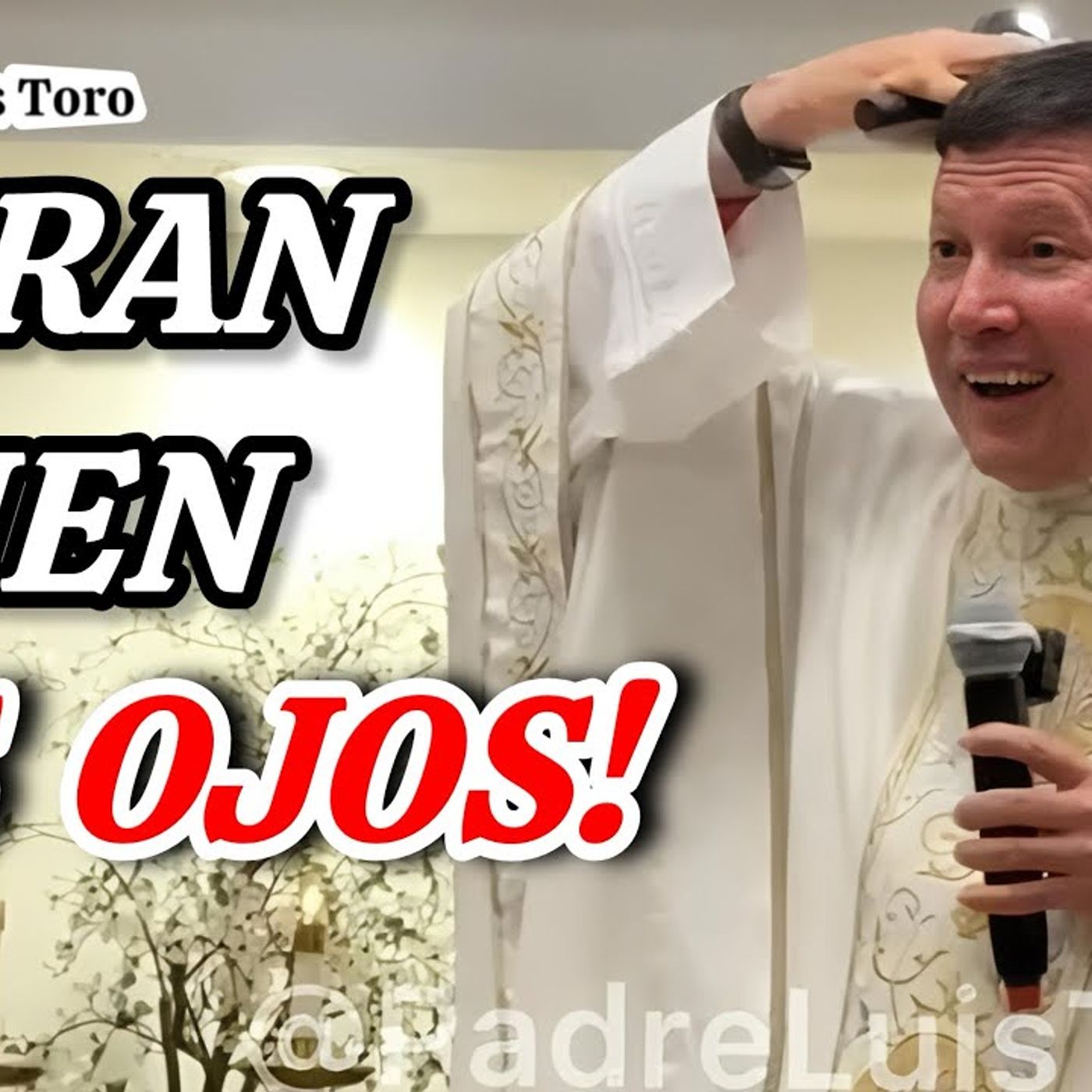 65-26_ ESTOY ASOMBRADO de Ver en ESTADOS UNIDOS Tantas IGLESIAS FALSAS 😱VENGO A PREDICARLES🇺🇸 - Padre Luis Toro episode artwork