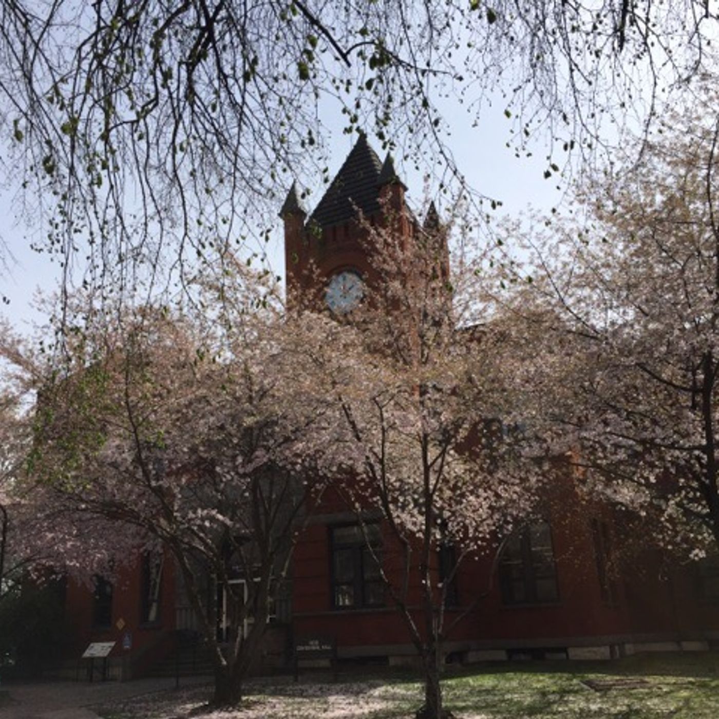 Imago Dei You Are Blessed Sermon