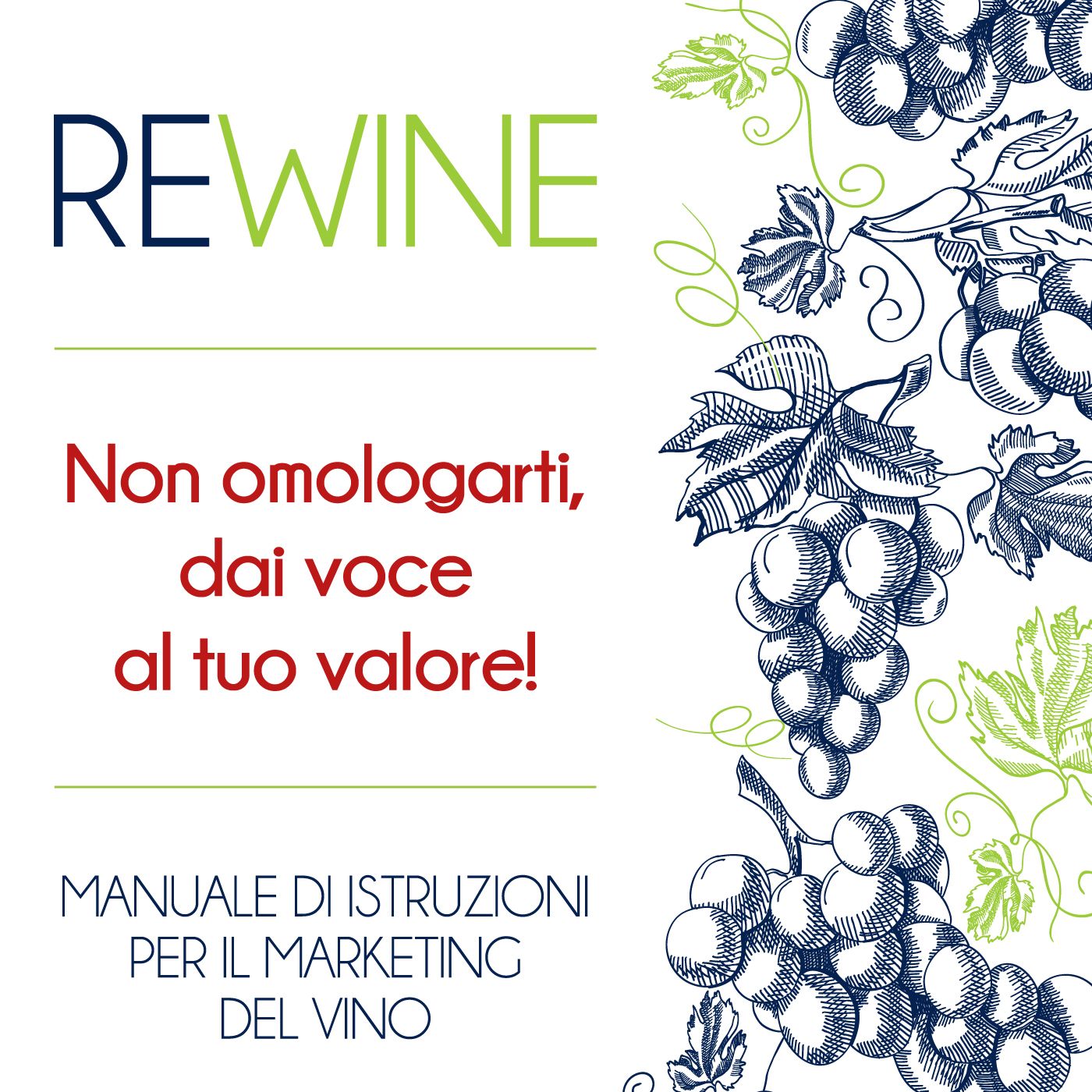 ReWine- Manuale di Marketing del vino