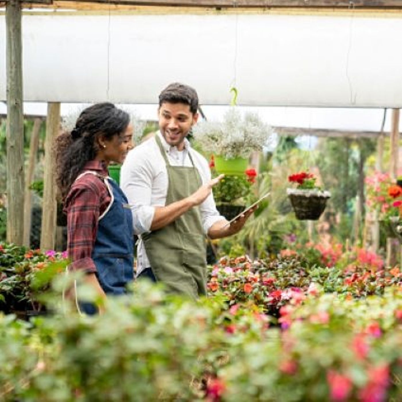 (Joke of the Day) Garden Store Manager Probably Should Apologize to an Employee episode artwork