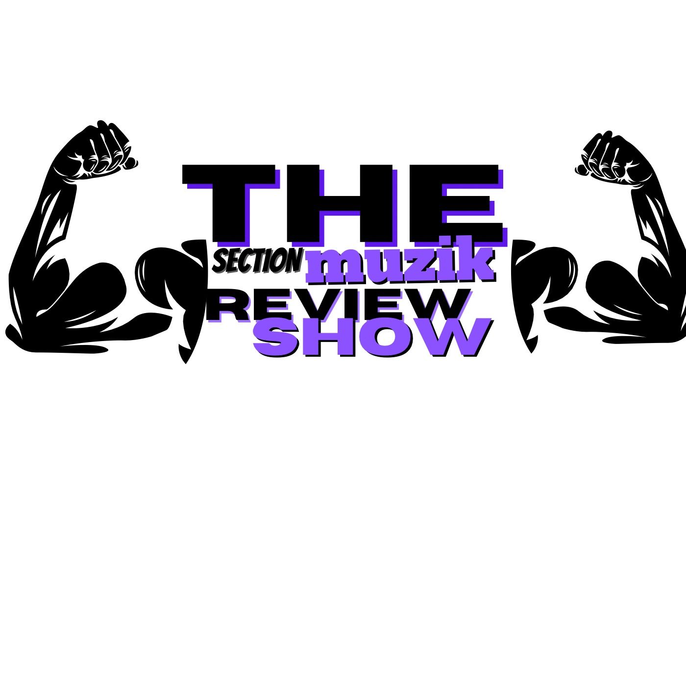 SECTION MUSIK REVIEW SHOW podcast artwork