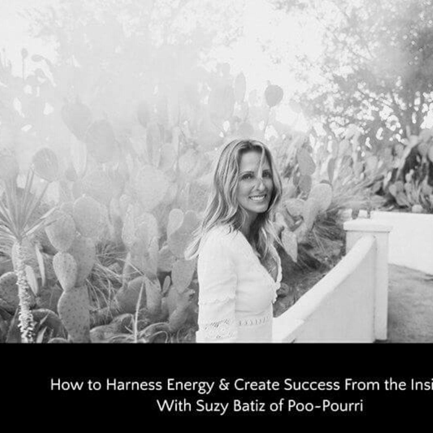 The Wellness Mama Podcast