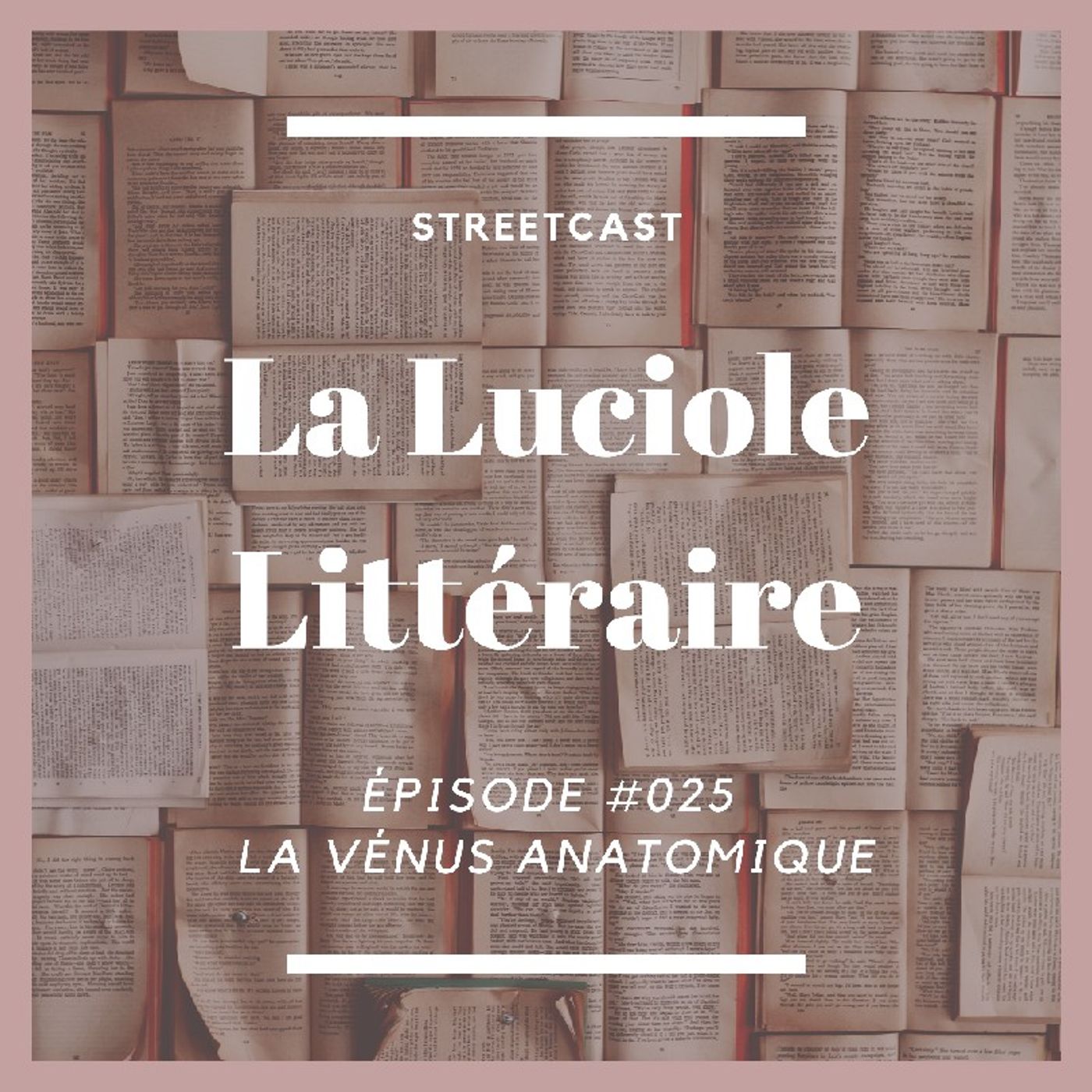La Luciole Ecarlate