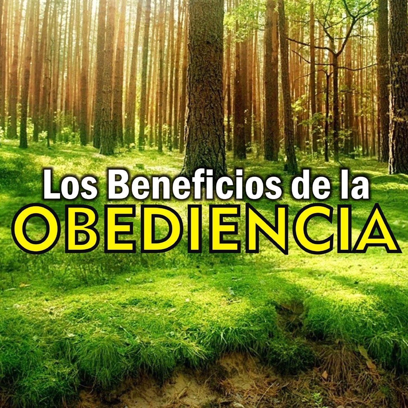 Oír de verdad - DEU007 episode artwork