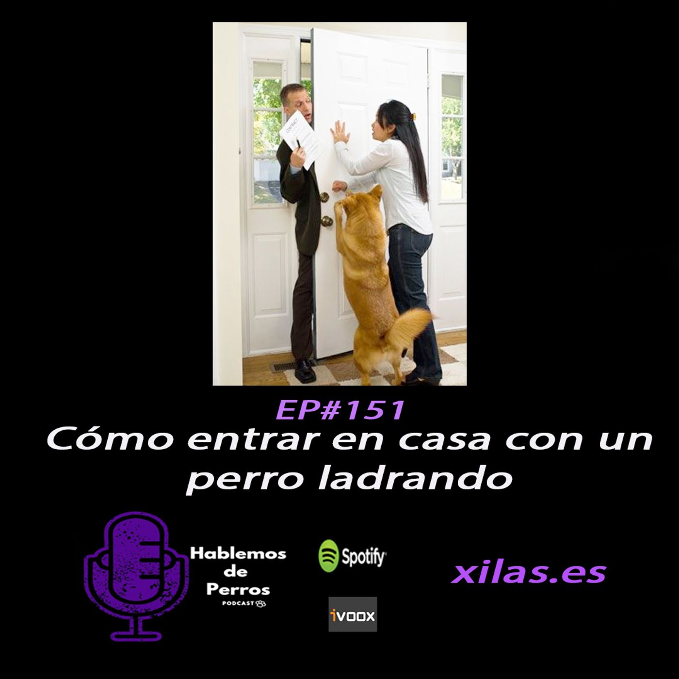 Hablemos de perros