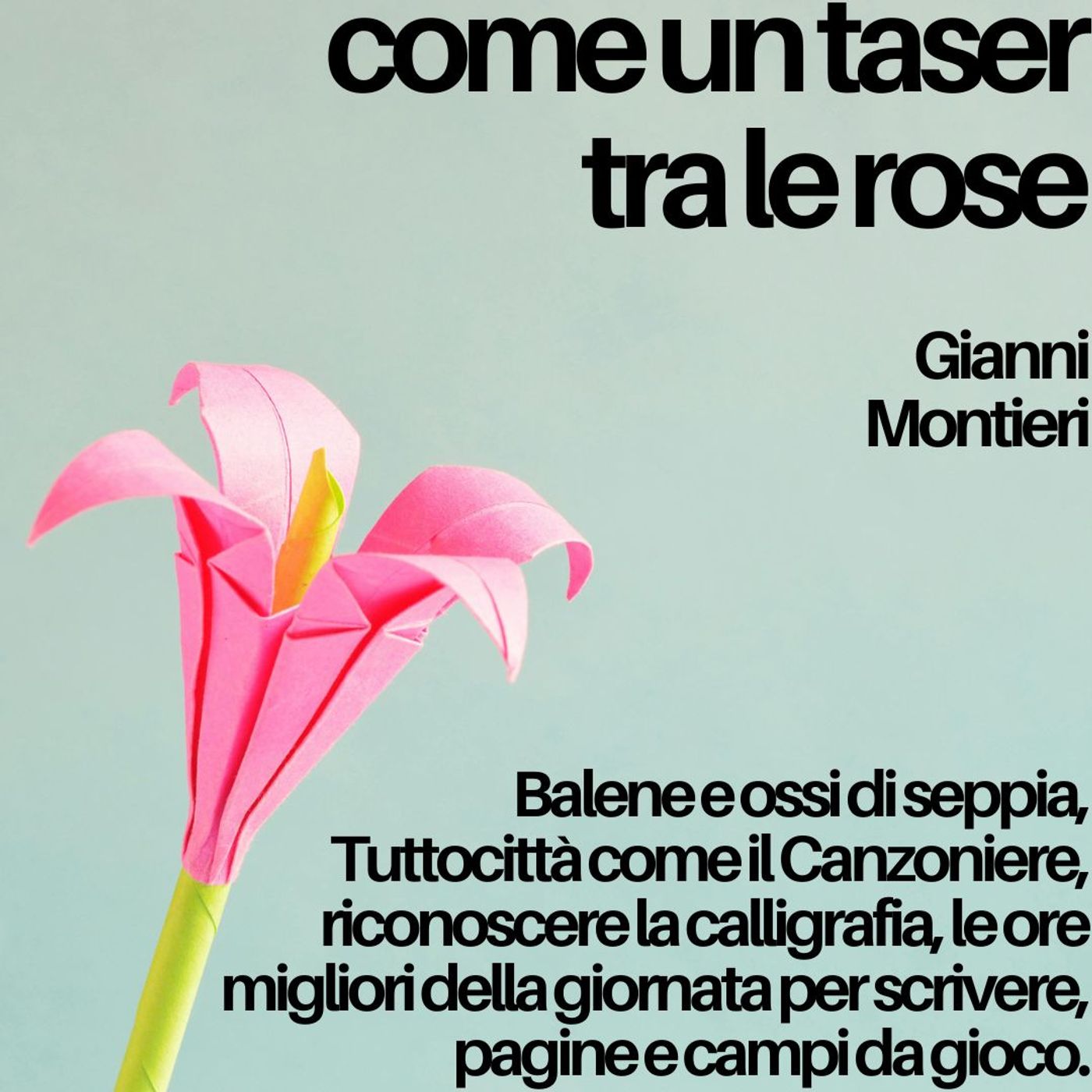 Come un taser tra le rose