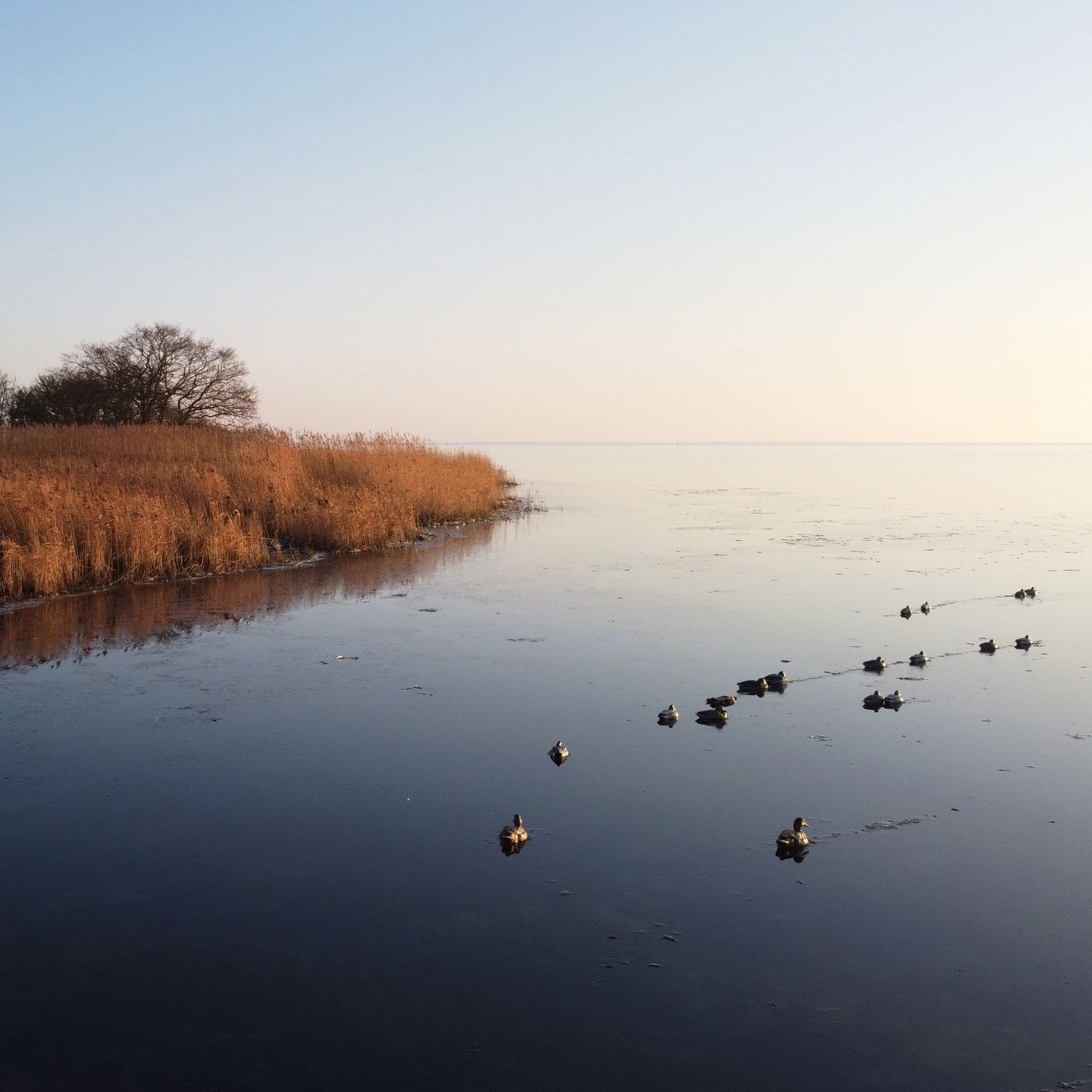 Når strandjagten bliver en ledsager gennem livet