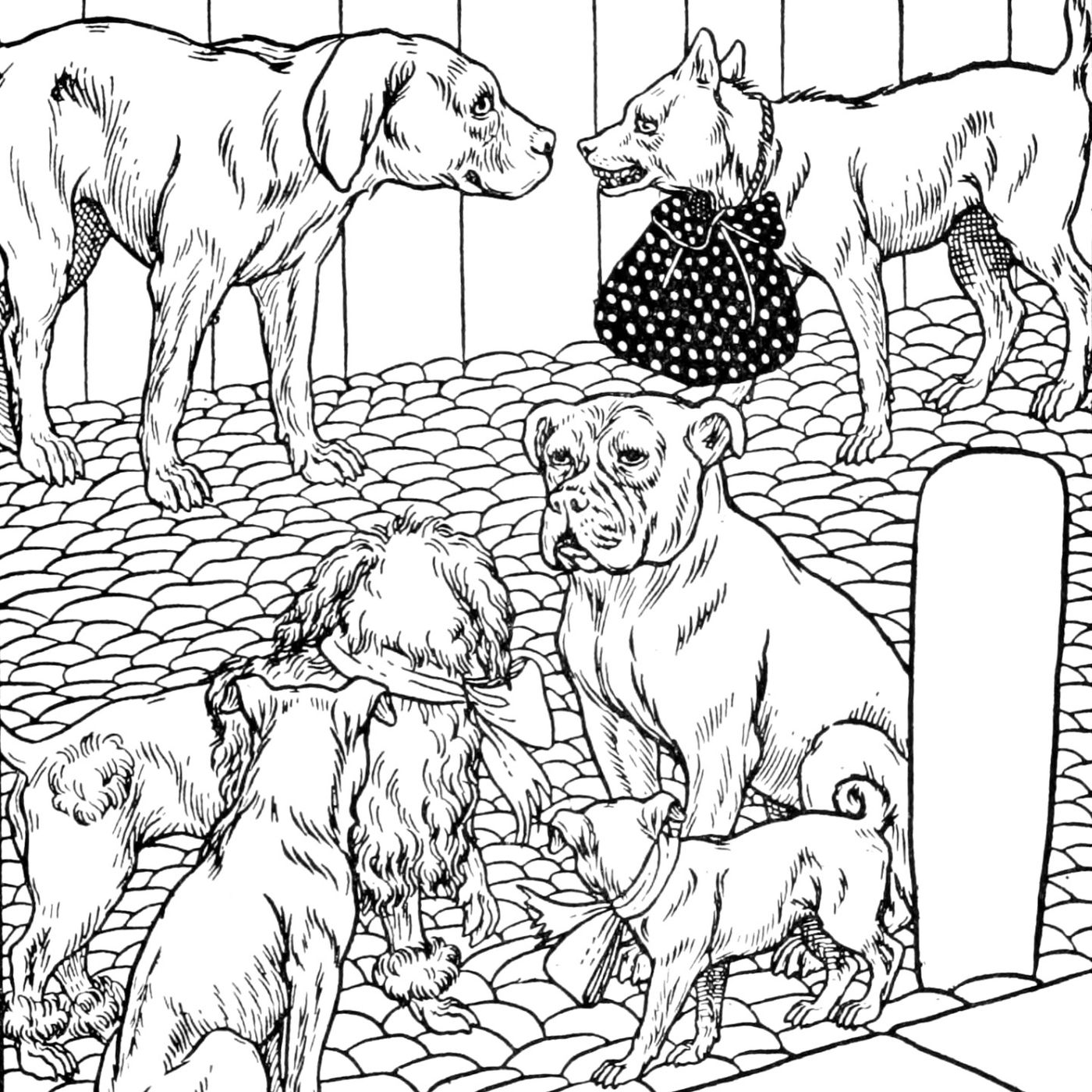 De hond en het eten van zijn baasje | Aesopus Fabels episode artwork