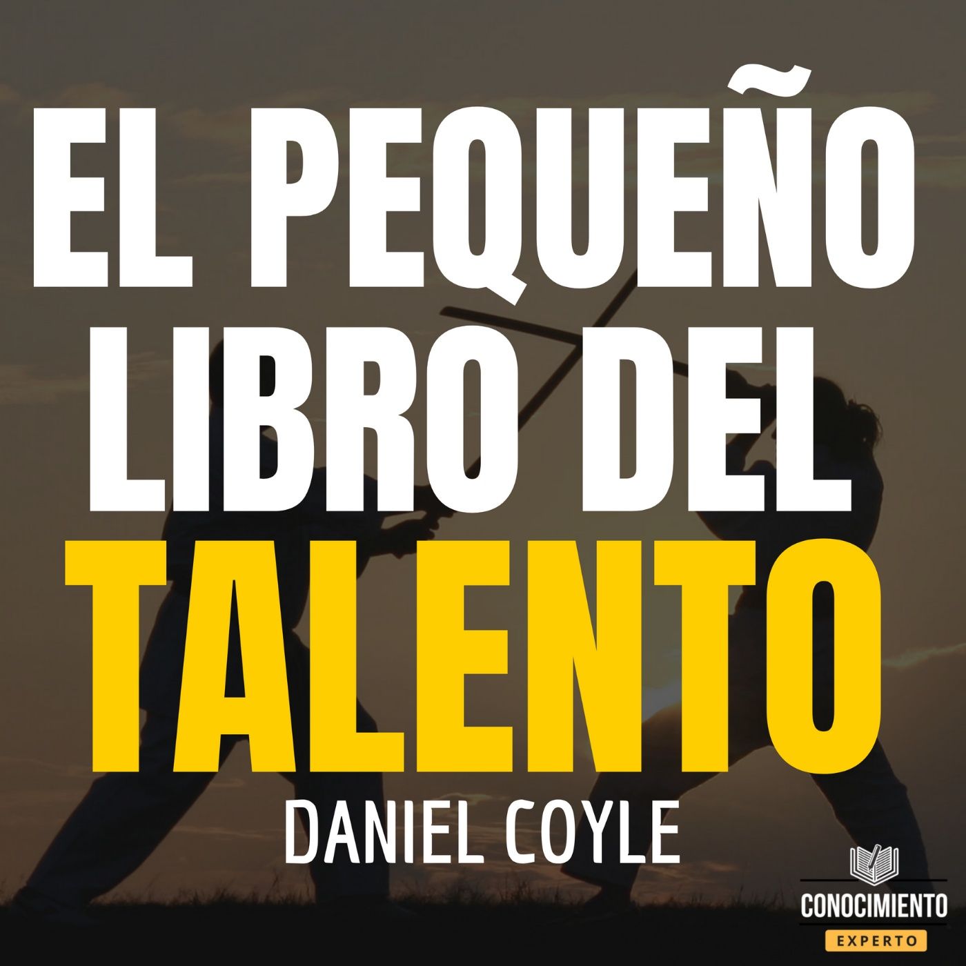 Conocimiento Experto