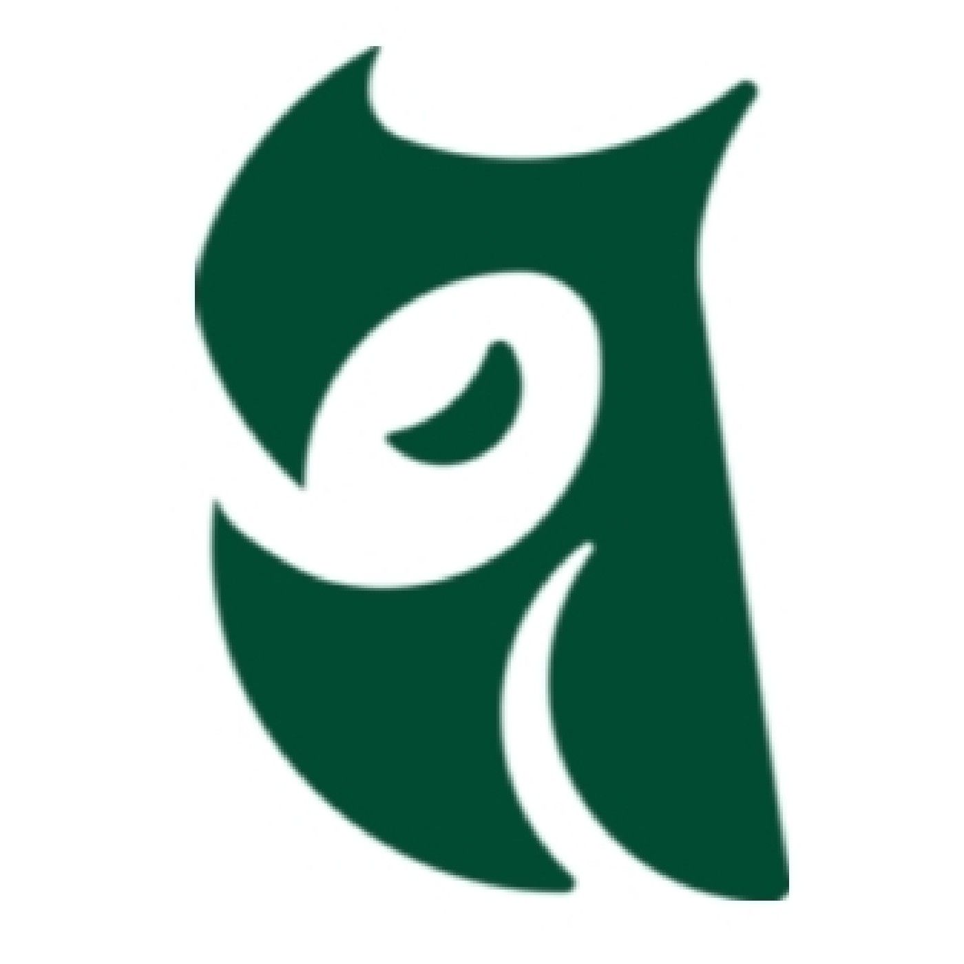 Ricko\'s Chanal News