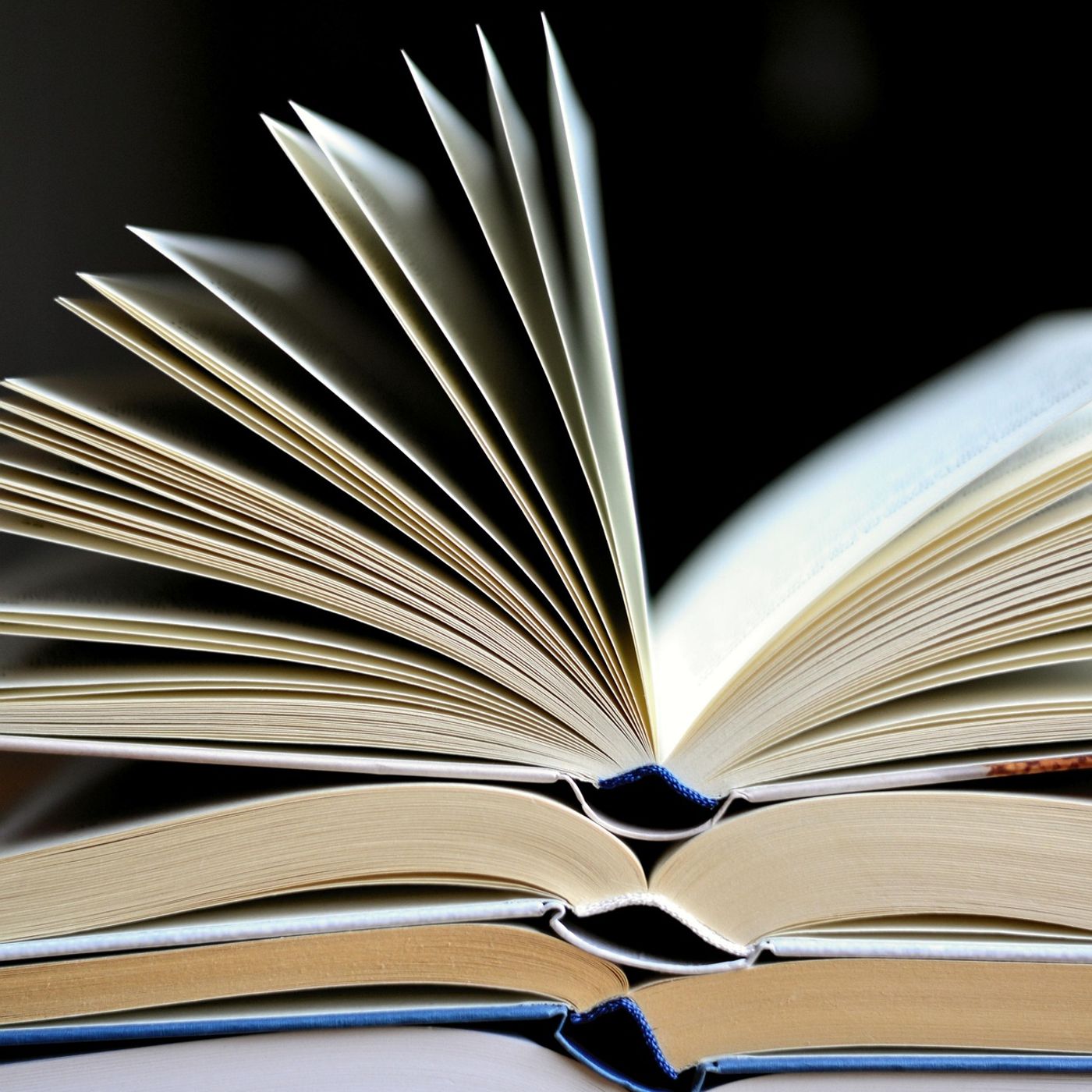 LA SOCIEDAD Y LA CIENCIAS SOCIAL