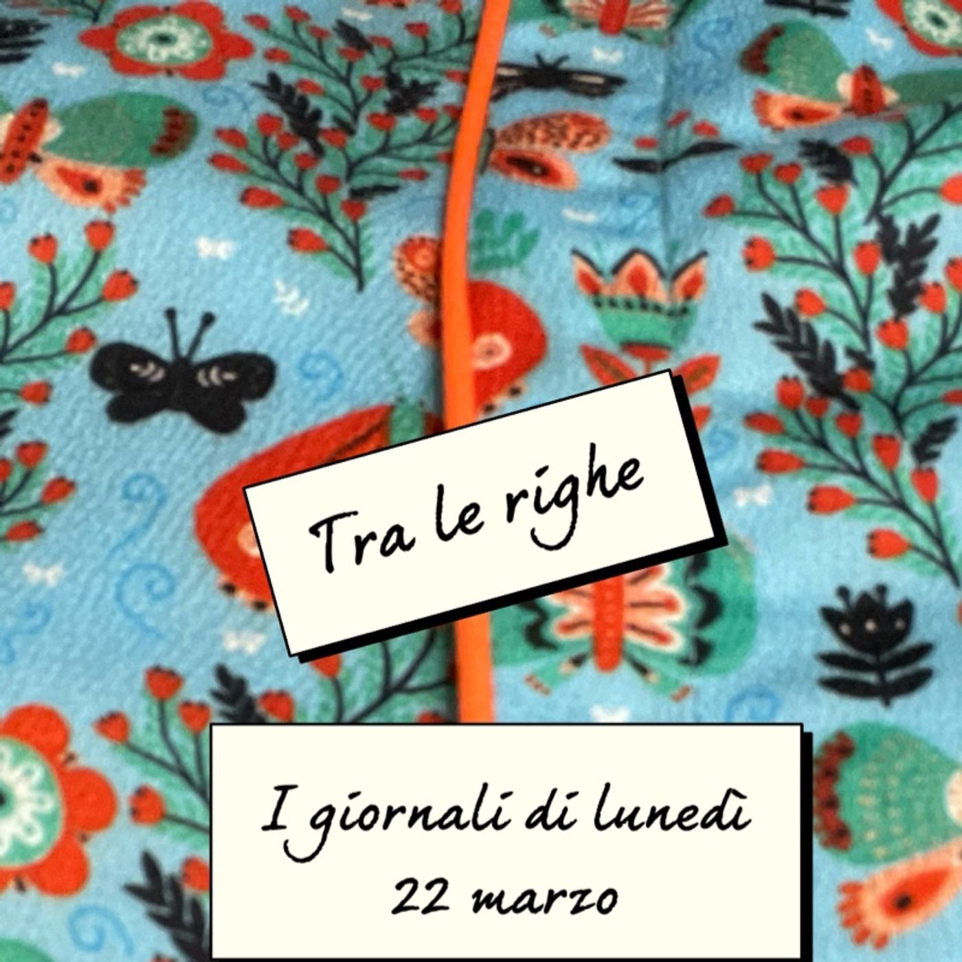 La rassegna stampa di Claudia de Lillo