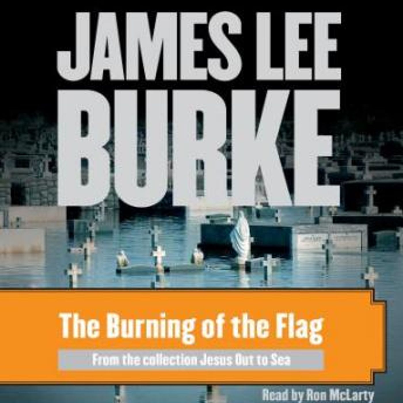 The Burning of the Flag by James Lee Burke episode artwork