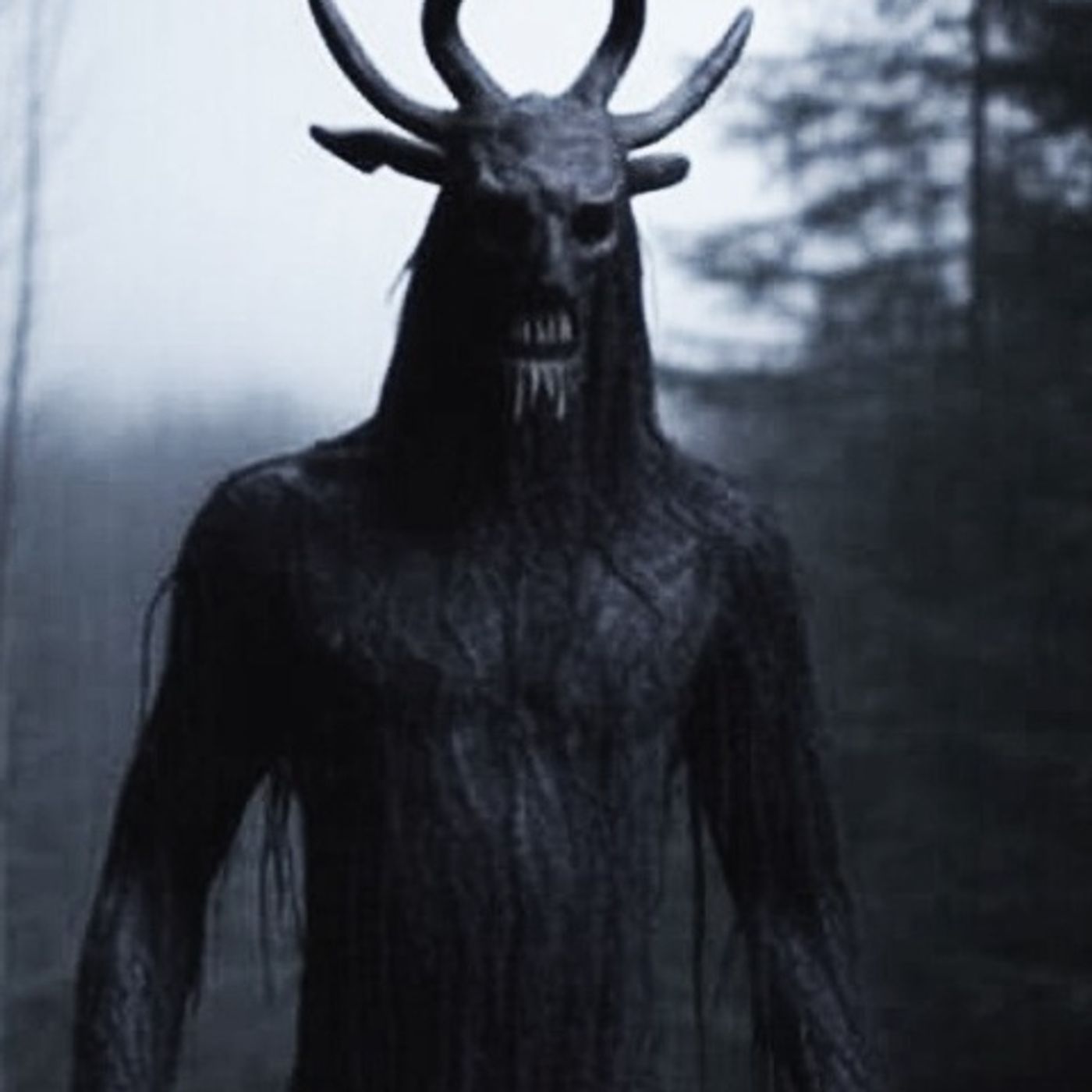 La Familia De La Fosa Historias De Terror - REDE