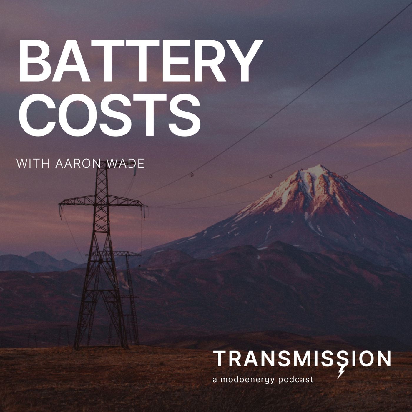 Battery costs with Aaron Wade (Head of Battery Costs @ CRU Group)