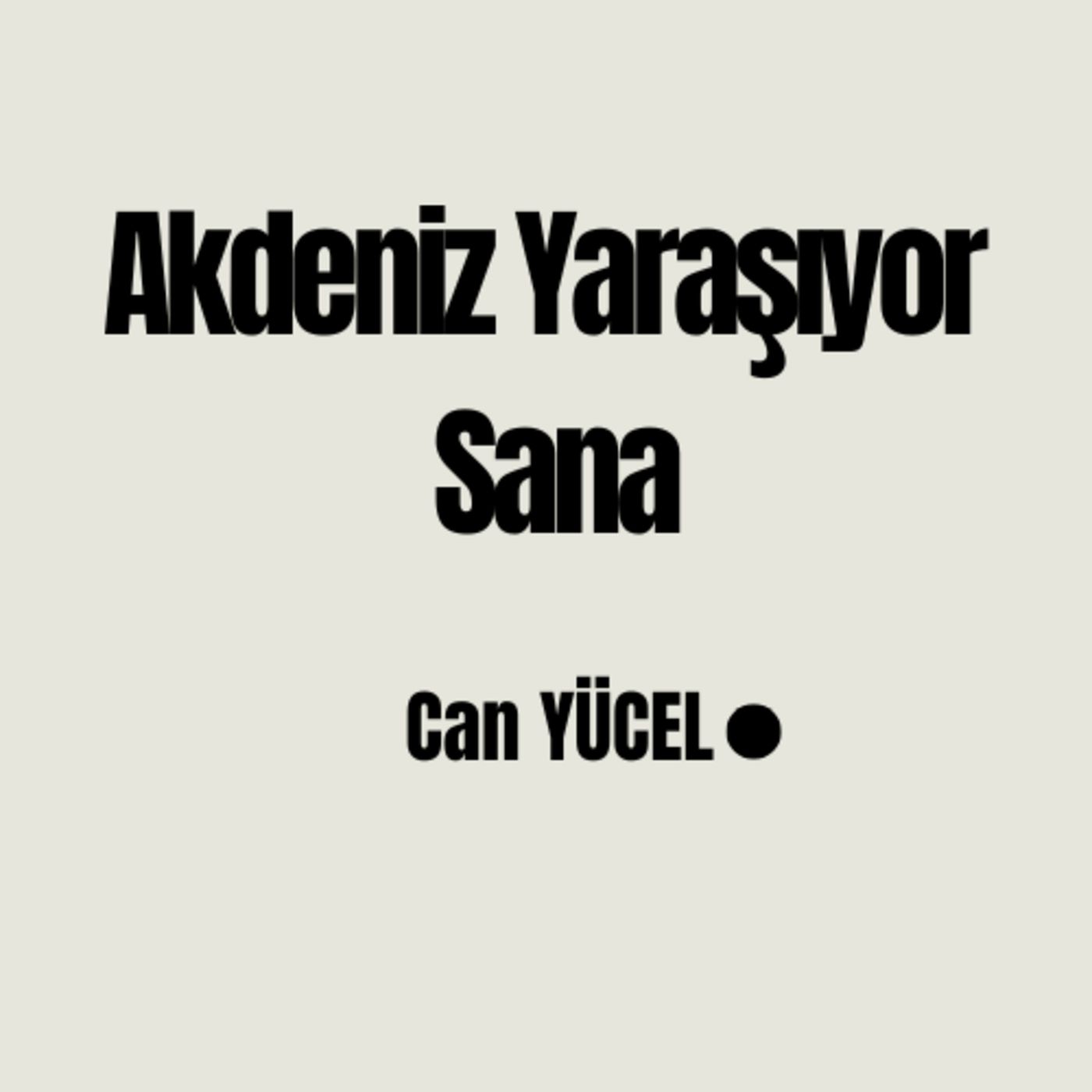Şiirler Ve Kitaplar