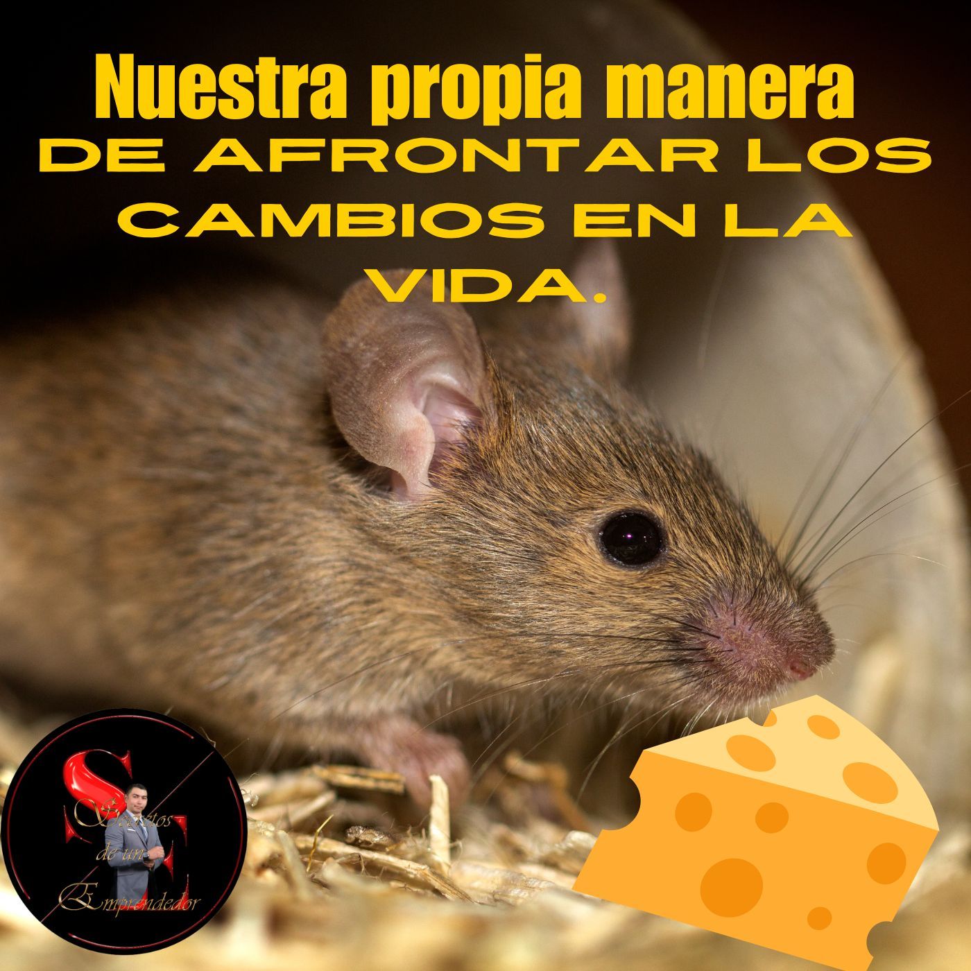 SECRETOS DE UN EMPRENDEDOR