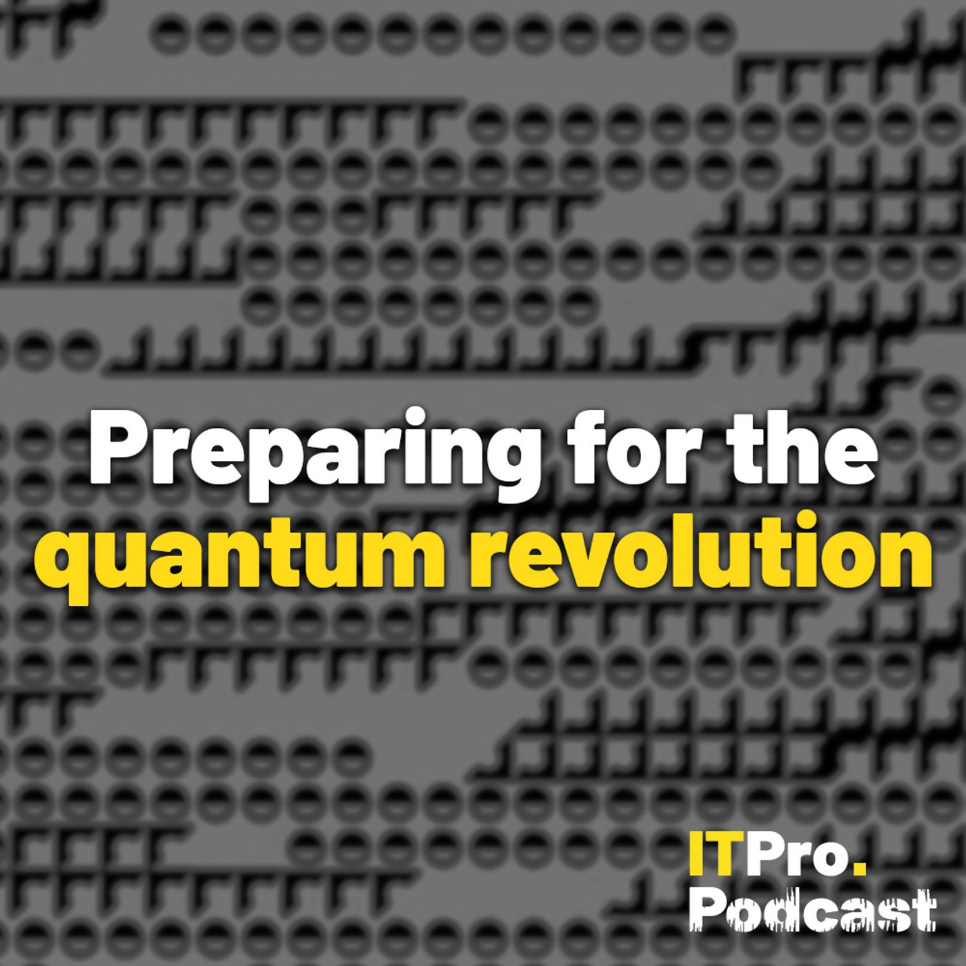 Preparing for the quantum revolution