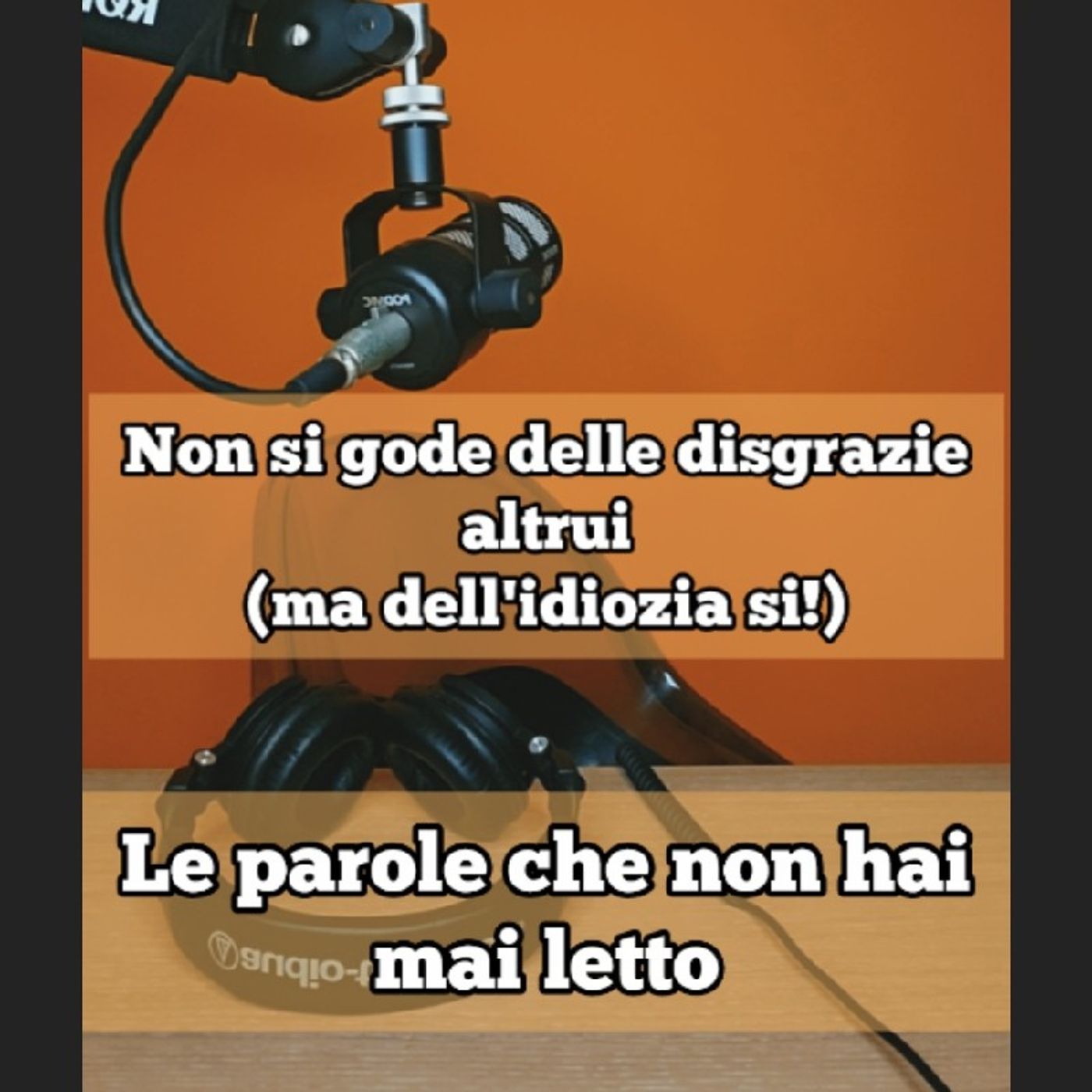 Episodio 1678 - Non si gode delle disgrazie altrui..(ma dell'idiozia si).... episode artwork