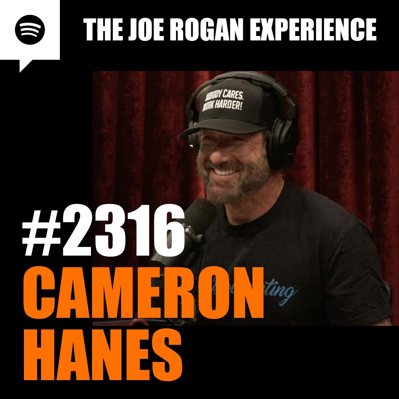 The Joe Rogan Experience