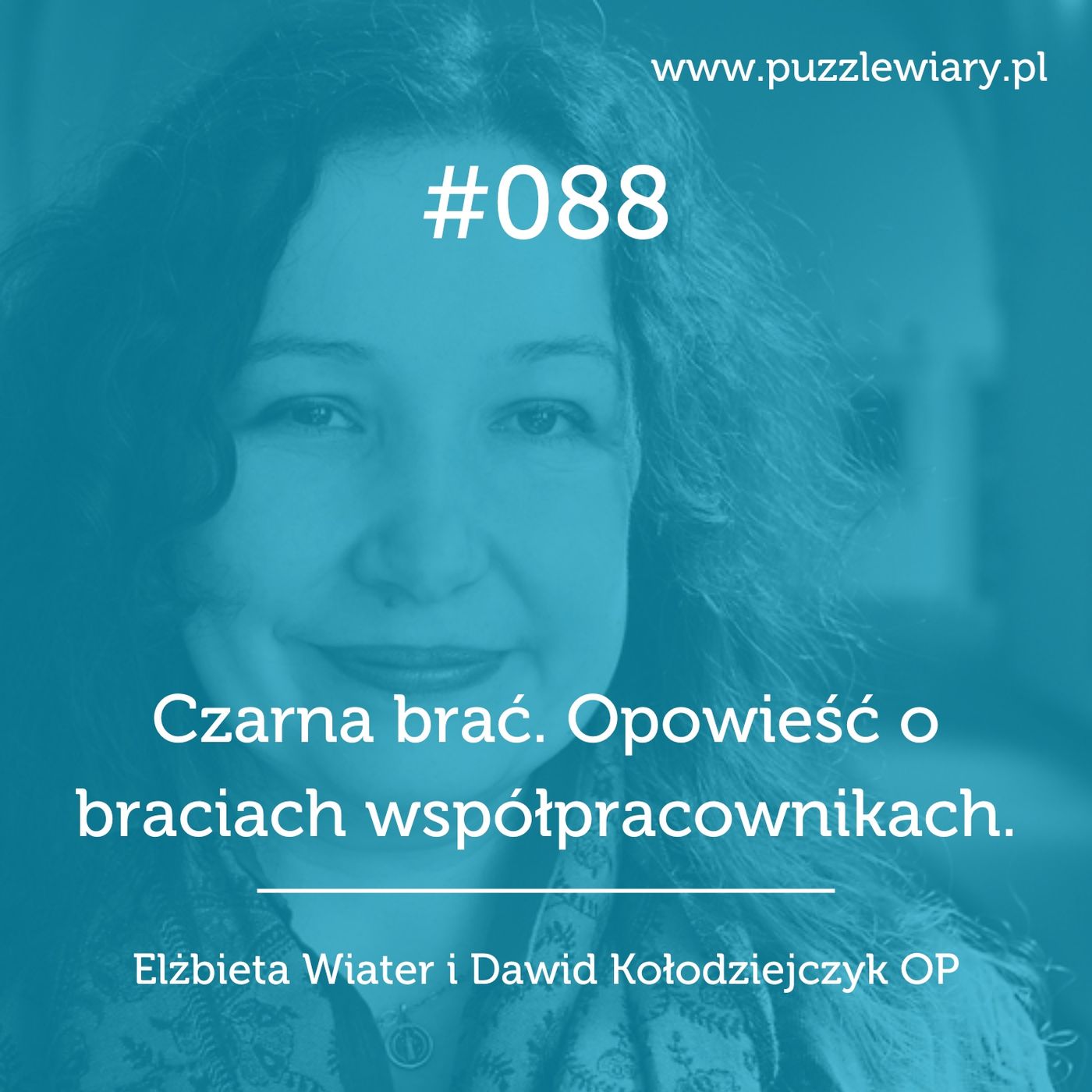 Puzzle Wiary