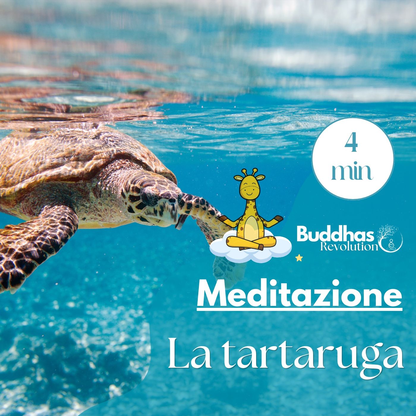 Buddhas Revolution
