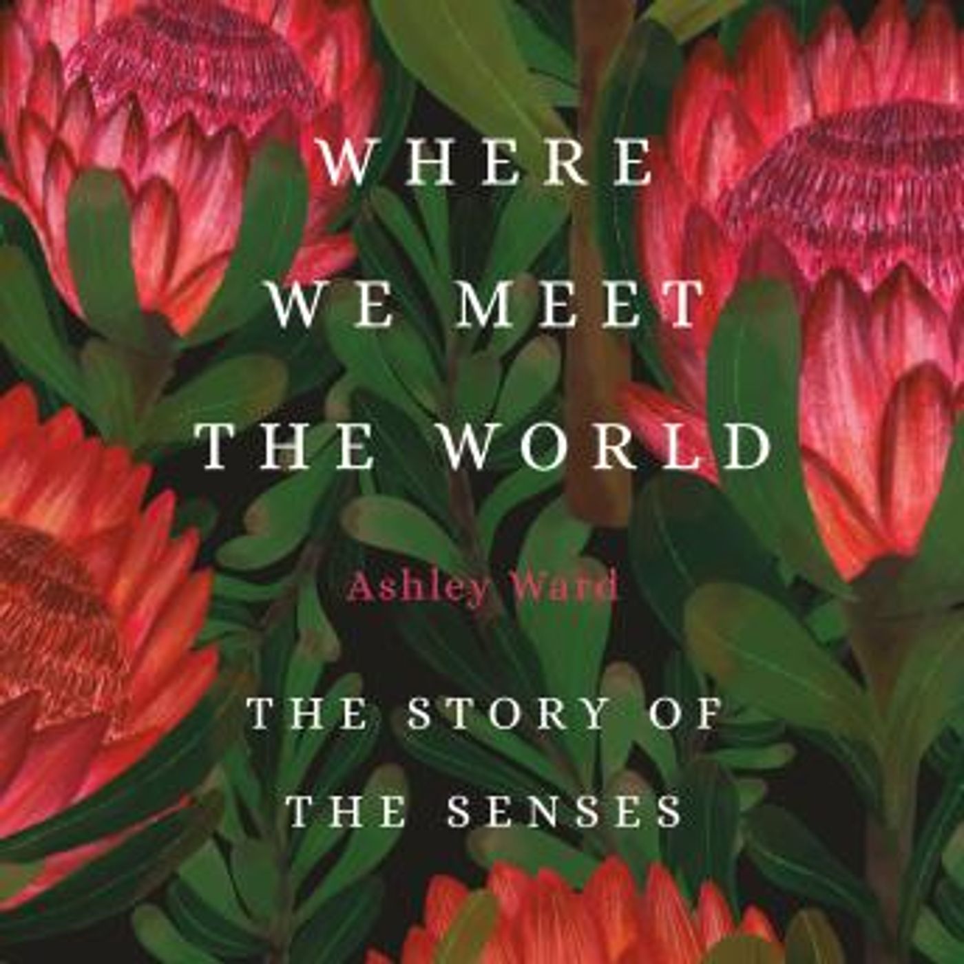 Explore the Latest Full Audiobooks in Non-Fiction, Biology & Chemistry
