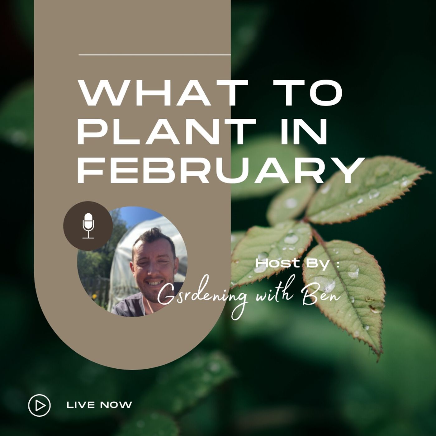 What to sow and grow in the allotment and garden in February