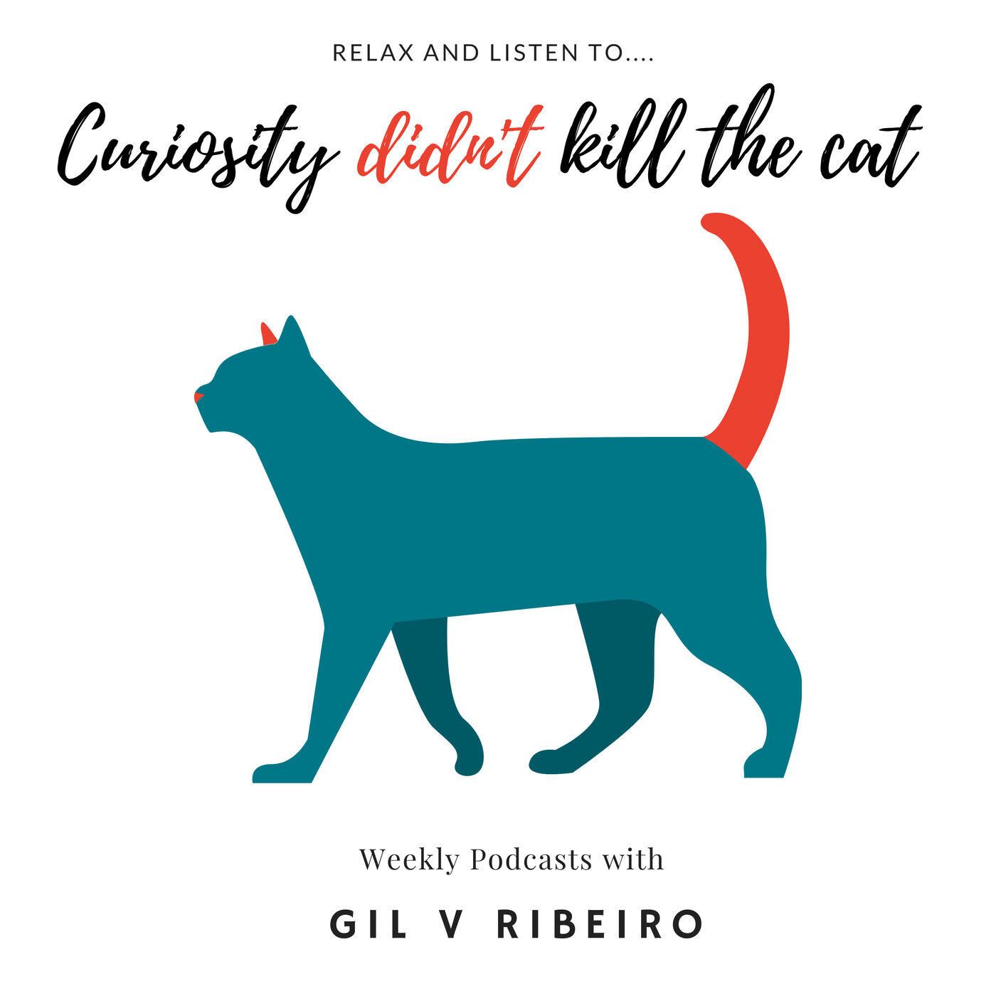 Curiosity Didn\'t Kill The Cat
