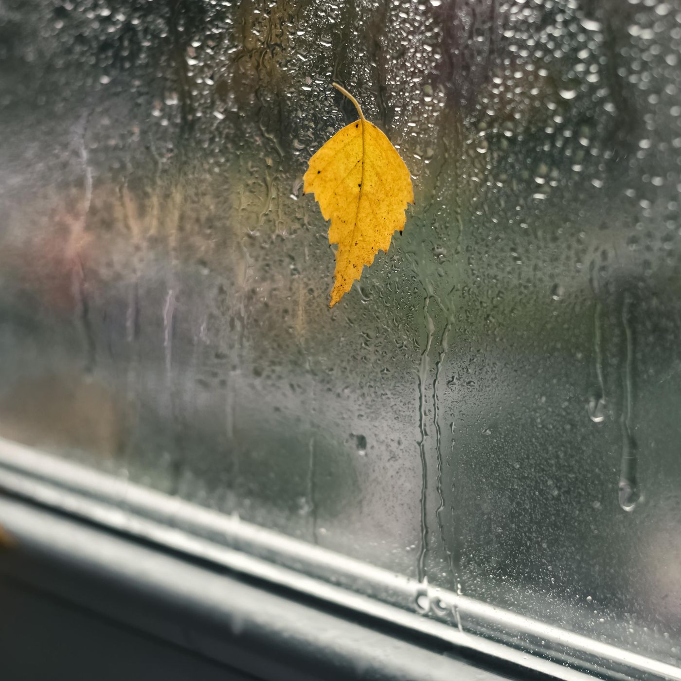 Splattering Window Rain - 10 Hours Sleep Sound