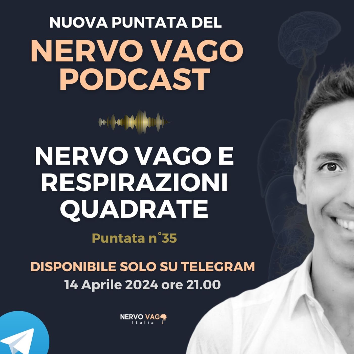 Nervo Vago Podcast