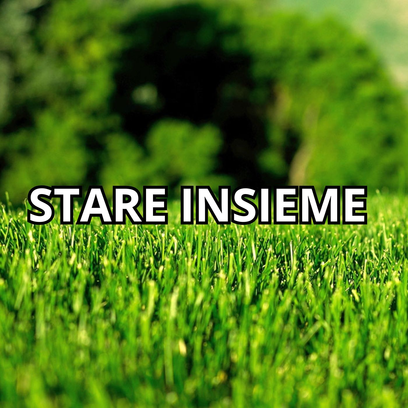 Copertina di Stare Insieme