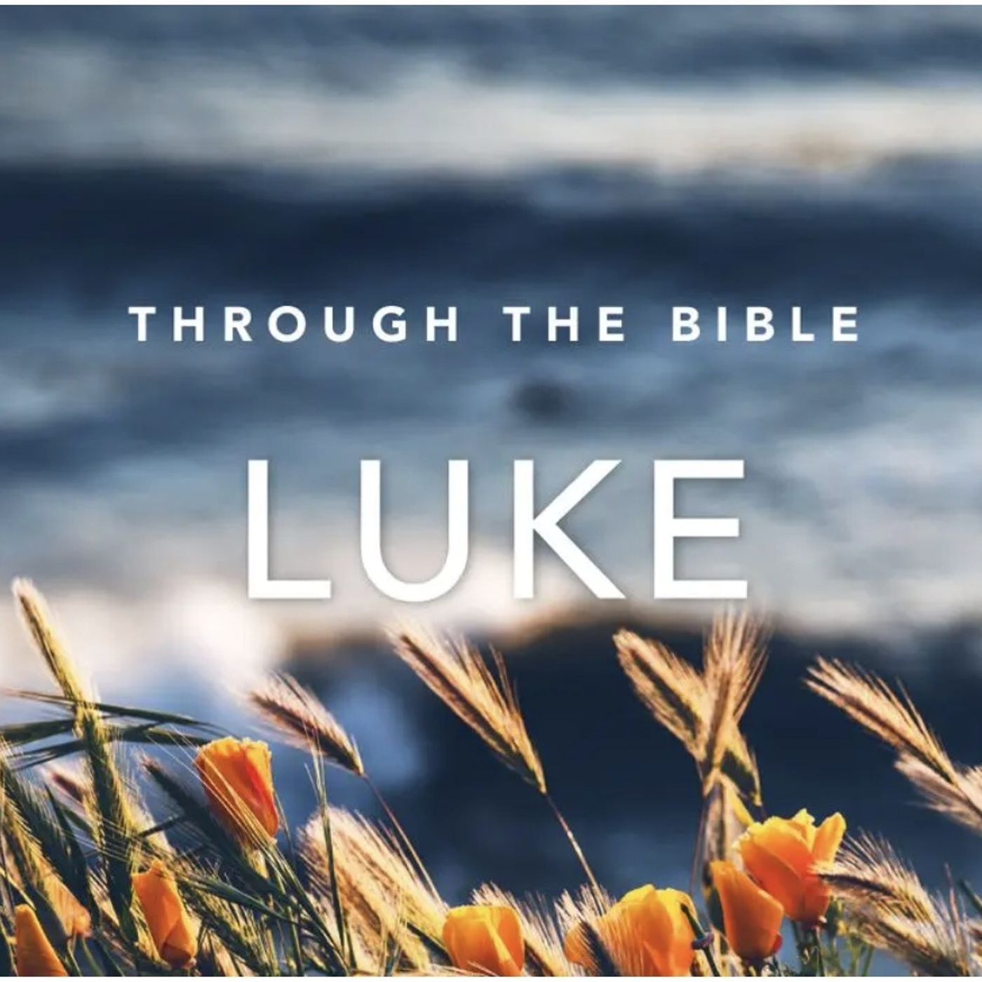 Luke chapter 18 / Feb 7th / 2024 /  lap 1
