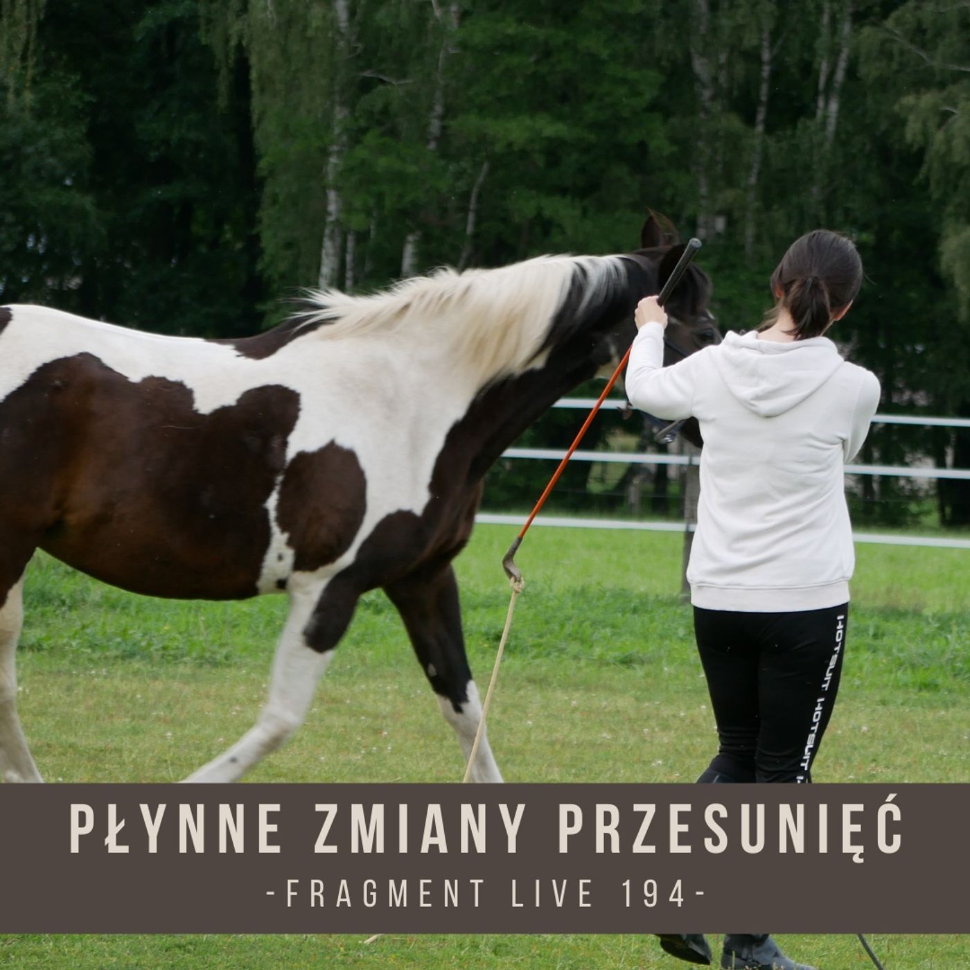 Płynne zmiany pezesunięć - fragment live 194