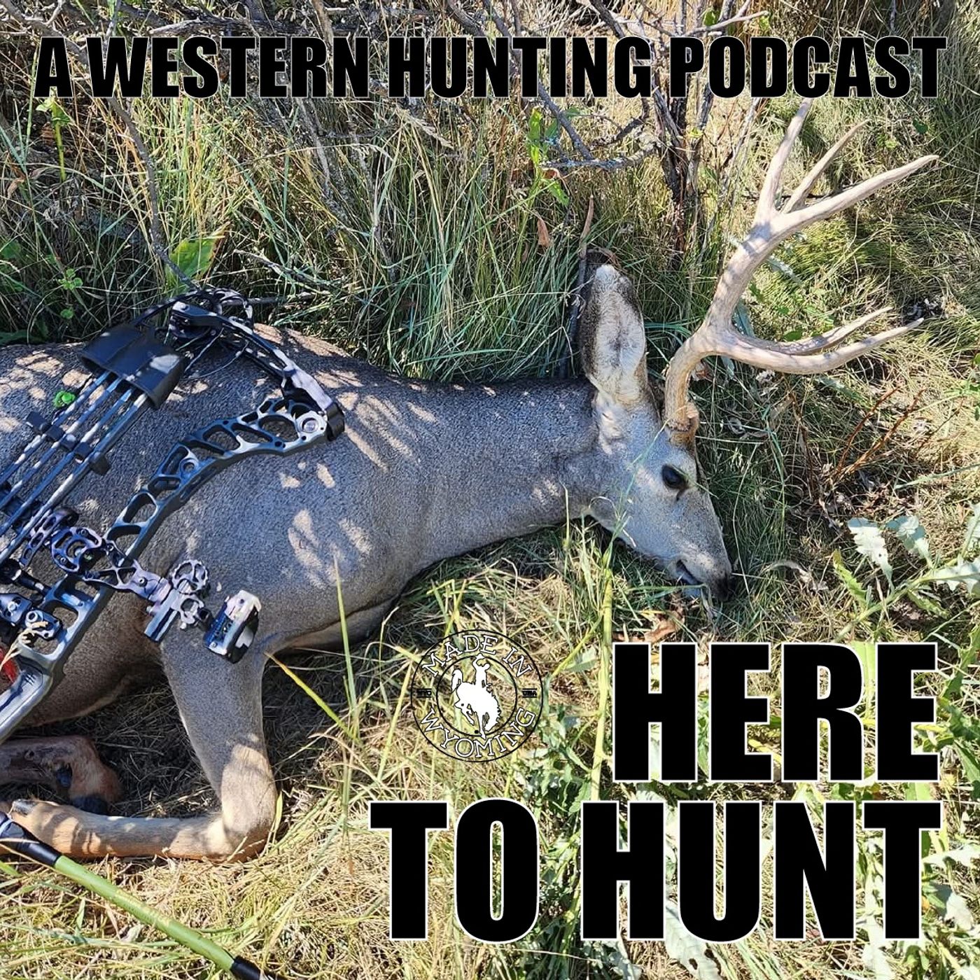006 - Tag Soup 02 - Jack's First Mule Deer episode artwork