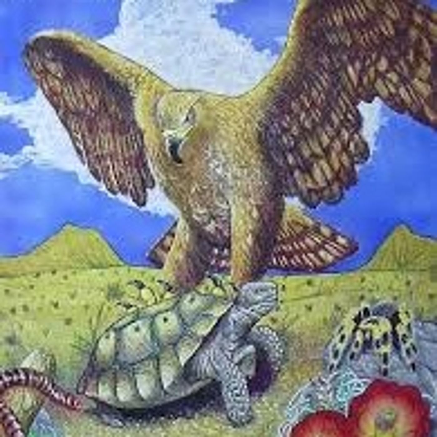 The Tortise and the Eagle episode artwork