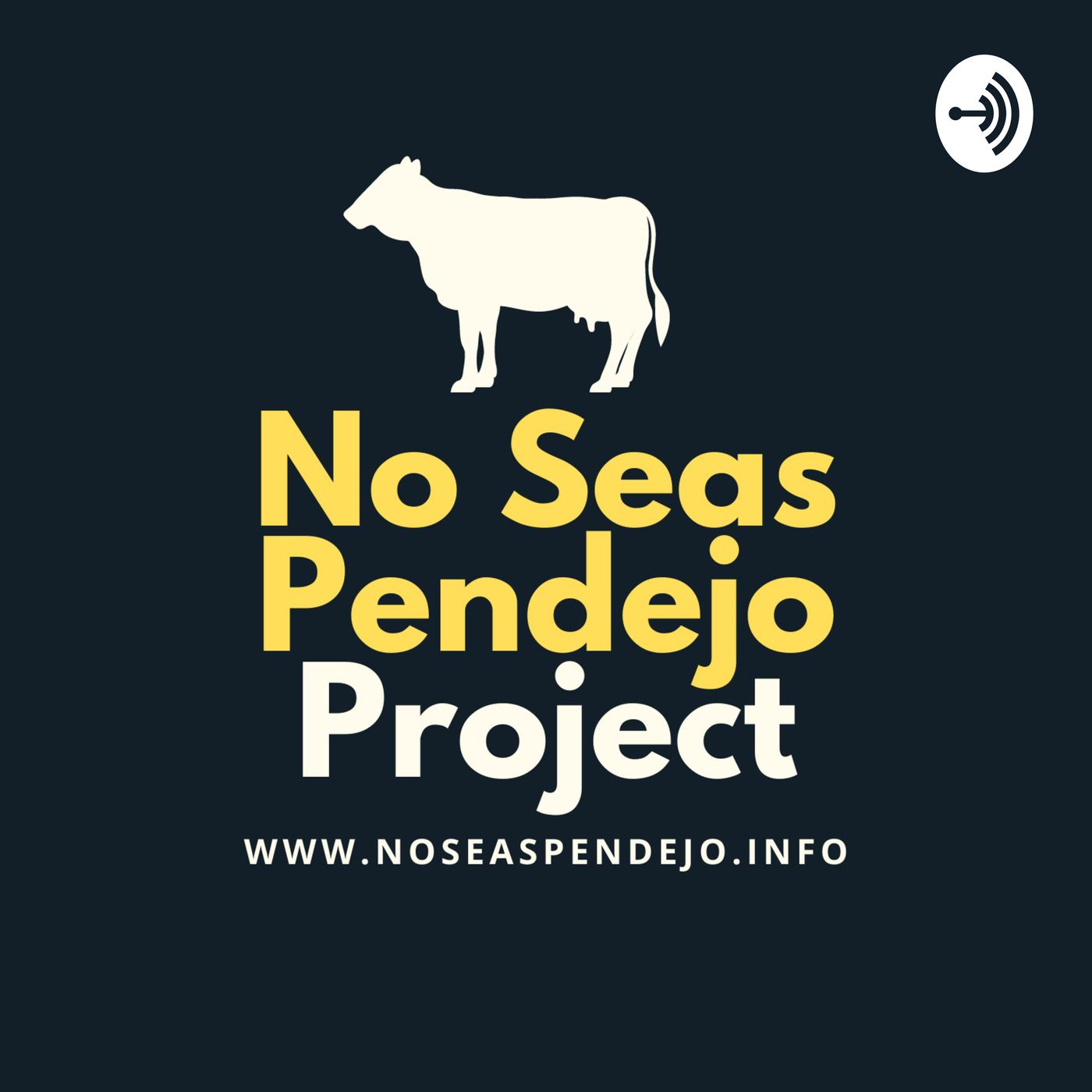 No Seas Pendejo Project