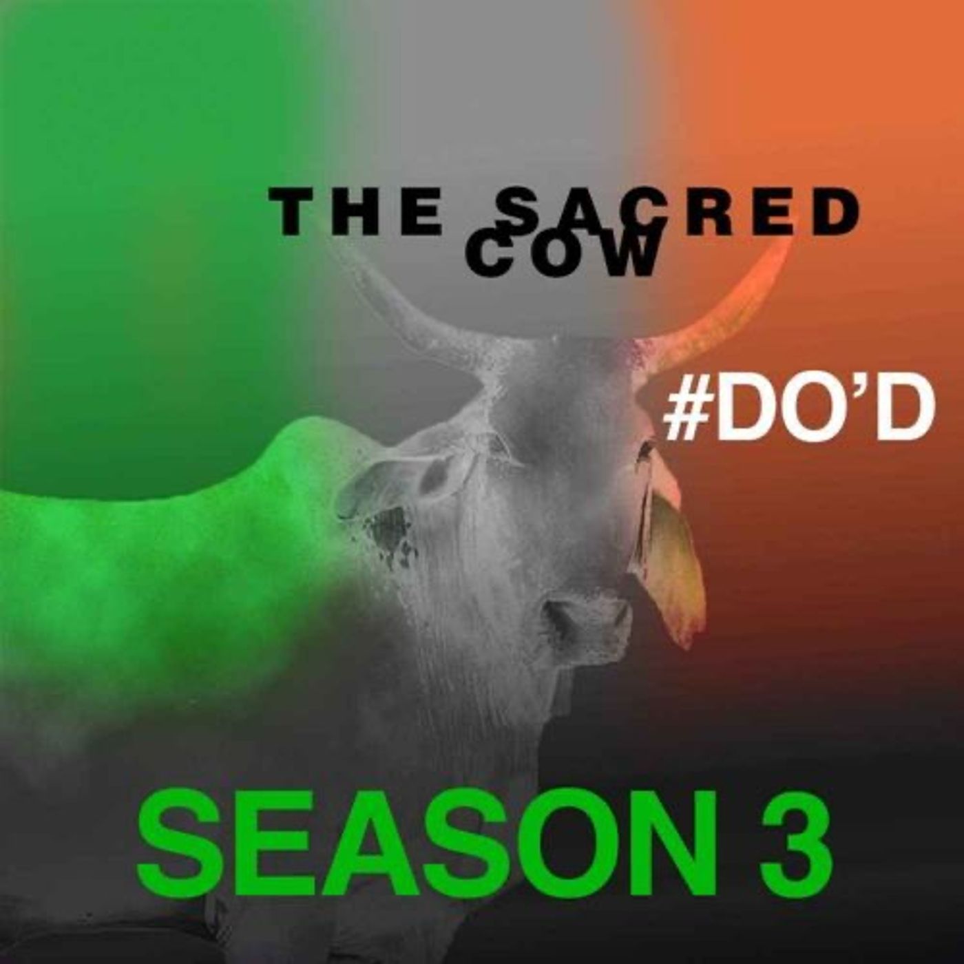 Daniel O'Donnell by The Sacred Cow