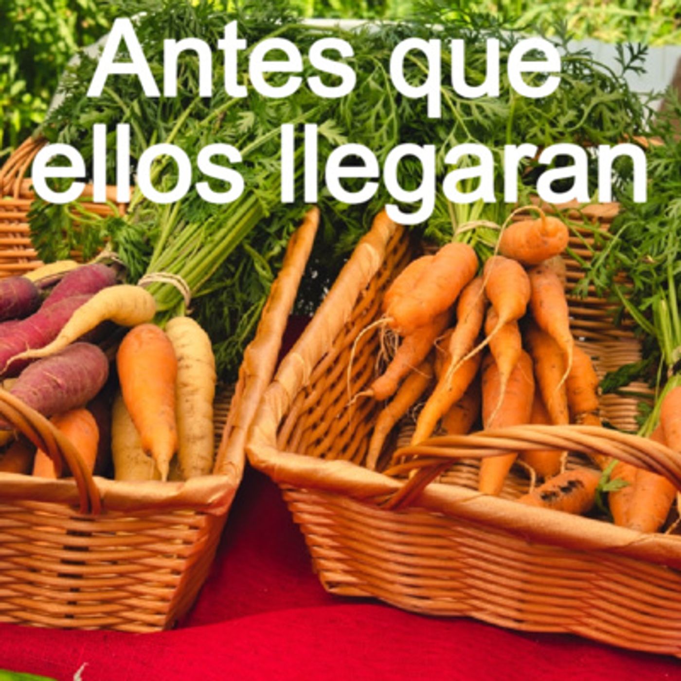 Instrucciones para un cuento